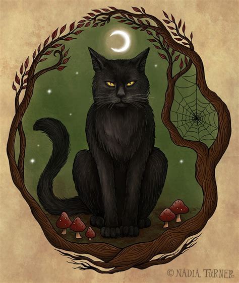 The mysterious connection between pagan cats and the moon